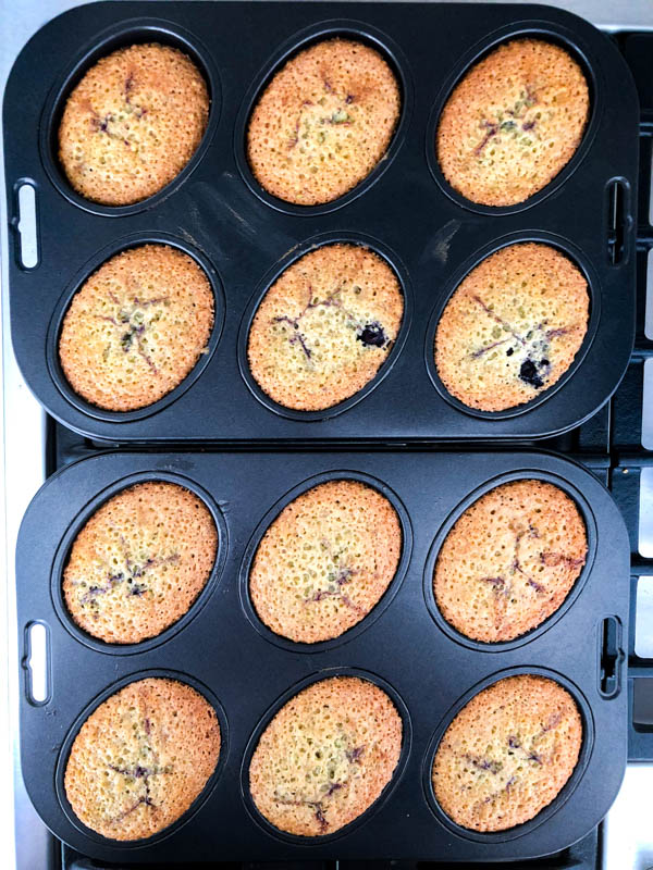 Top view of Pistachio Blueberry Friands in the Friand tins straight out of the oven.