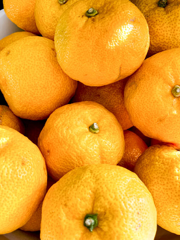 Close up of whole Yuzu fruits.