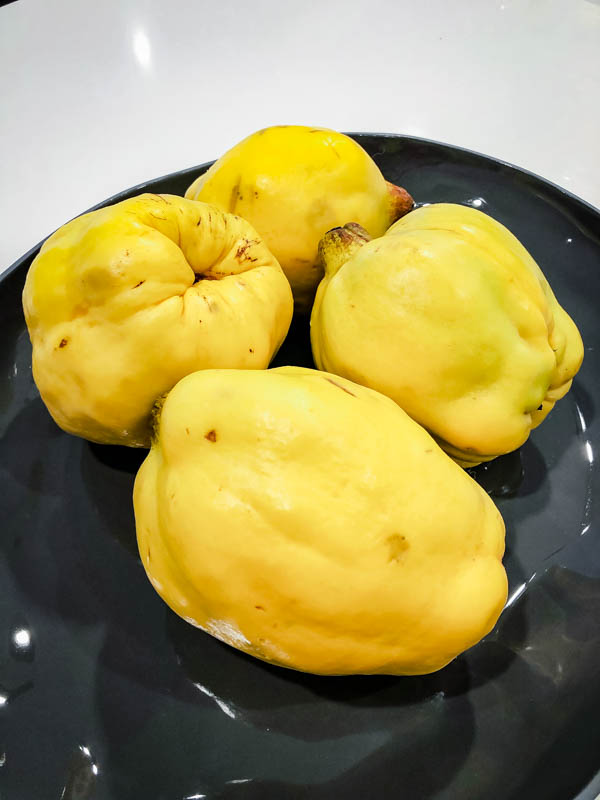 A dark platter with 4 Quince fruit that have been washed.