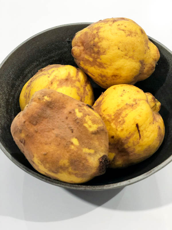 A grey bowl of 4 unwashed and furry Quince fruit.