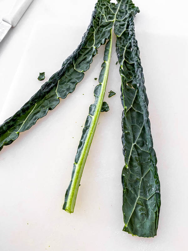 A leaf of kale showing the thick stem cut out of it.