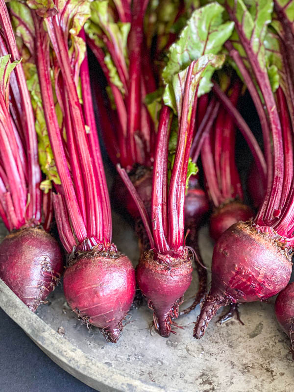 Close up of a bunch of baby beetroot with stalks and leaves intact.