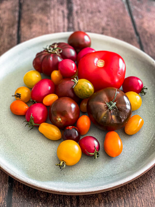 Different sized heirloom tomatoes on a green plate.