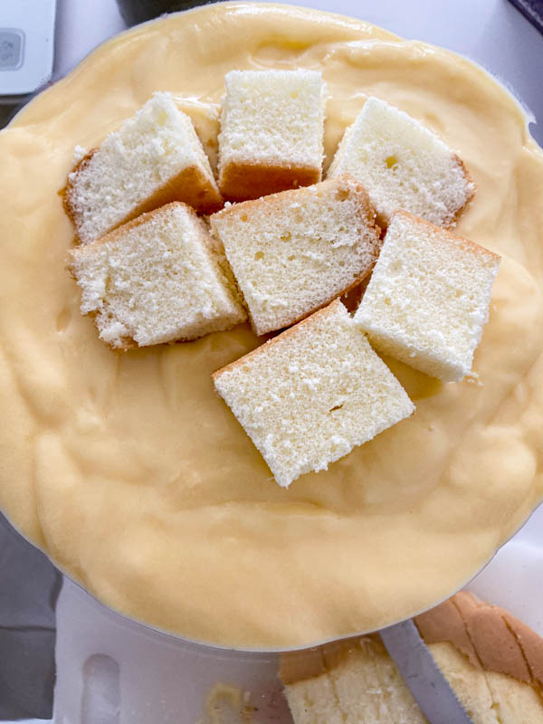 A custard layer is in the trifle bowl and another layer of sponge cubes are being placed over the top.