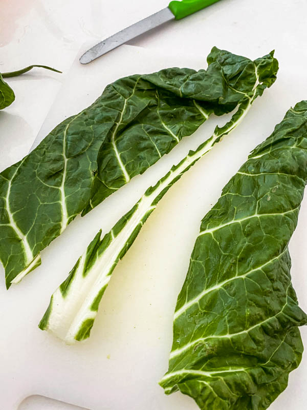 A leaf of silverbeet with the centre white part cut out and removed.