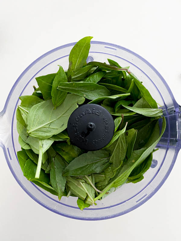 The picked fresh Thai basil leaves are in the bowl of a mini food processor.