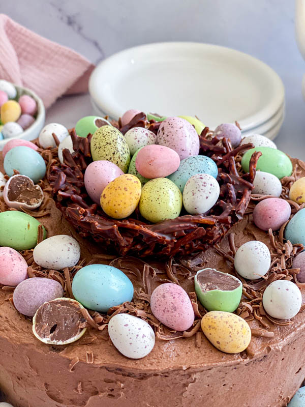 A close up of the chocolate nest on top of the cake.