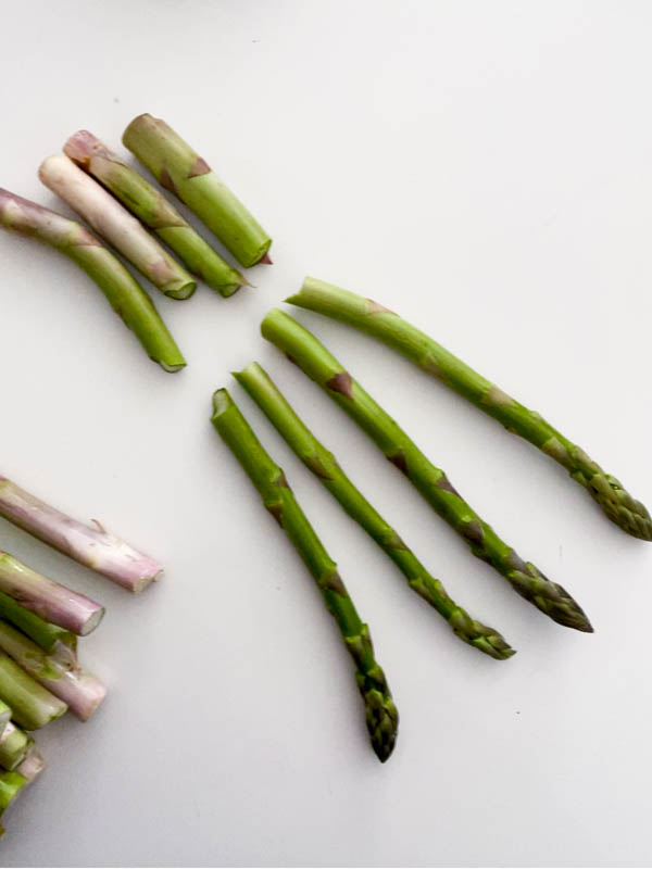 The asparagus is being prepared. Here the woody ends of the asparagus are snapped off.